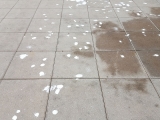 20180514_101205